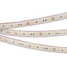 Лента светодиодная RTW 2-5000PS 12V Warm3000 2x (5060, 300 LED, LUX) (Arlight, 14.4 Вт/м, IP67)