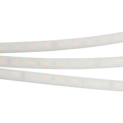 Лента светодиодная RTW 2-5000PW 24V White6000 2x (5060, 300 LED, LUX) (Arlight, 14.4 Вт/м, IP66)